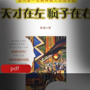 电子书《天才在左，疯子在右》典藏版推荐