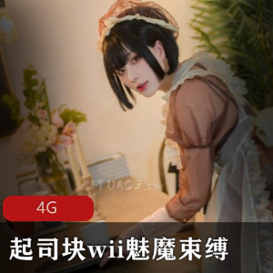 全系列（起司块wii）魅魔束缚合集